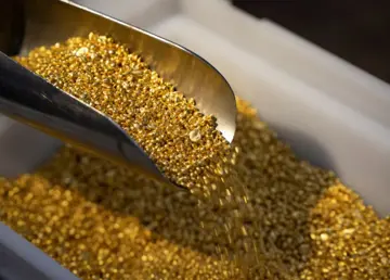خرید و فروش گوارسه یا ساچمه طلا