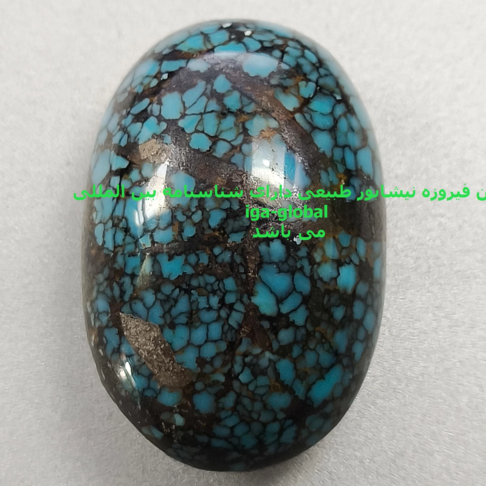 فیروزه نیشابور طبیعی گرید AA وزن 8.3 گرم با شناسنامه بین المللی iga-global